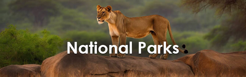 National Parks & Wildlife Sanctuaries