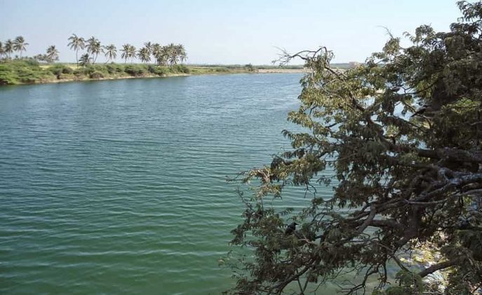 Rivers in Gujarat - List of Famous Rivers in Gujarat